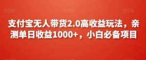 支付宝无人带货2.0高收益玩法，亲测单日收益1000+，小白必备项目【揭秘】-泰戈创艺资源库