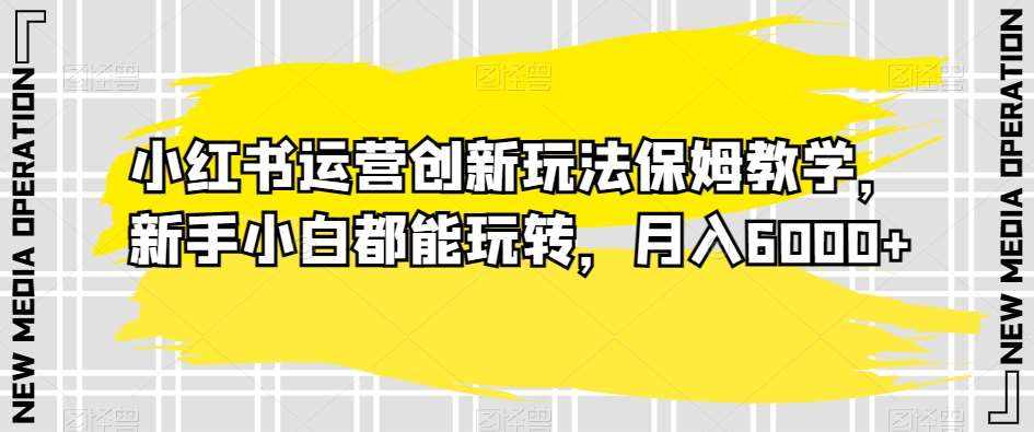 小红书运营创新玩法保姆教学，新手小白都能玩转，月入6000+【揭秘】-泰戈创艺资源库