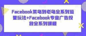 Facebook菜鸟到老鸟全系列运营玩法+Facebook专业广告投放全系列课程-泰戈创艺资源库