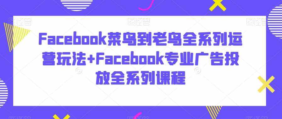 Facebook菜鸟到老鸟全系列运营玩法+Facebook专业广告投放全系列课程-泰戈创艺资源库