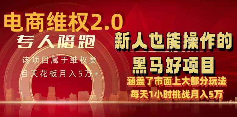电商维权 4.0 如何做到月入 5 万+每天 1 小时新人也能快速上手【仅揭秘】-泰戈创艺资源库
