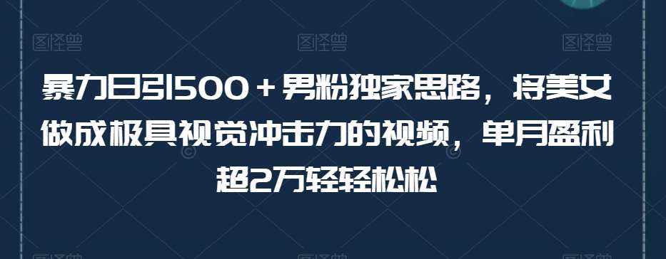 暴力日引500＋男粉独家思路，将美女做成极具视觉冲击力的视频，单月盈利超2万轻轻松松-泰戈创艺资源库
