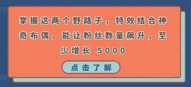 掌握这两个野路子,特效结合神奇布偶,能让粉丝数量飙升,至少增长 5000【揭秘】-泰戈创艺资源库