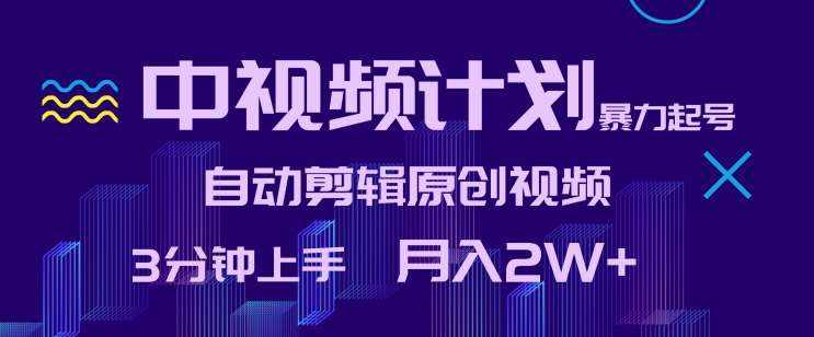 中视频计划暴力起号，自动剪辑原创视频，3分钟上手，月入2W+【揭秘】-泰戈创艺资源库