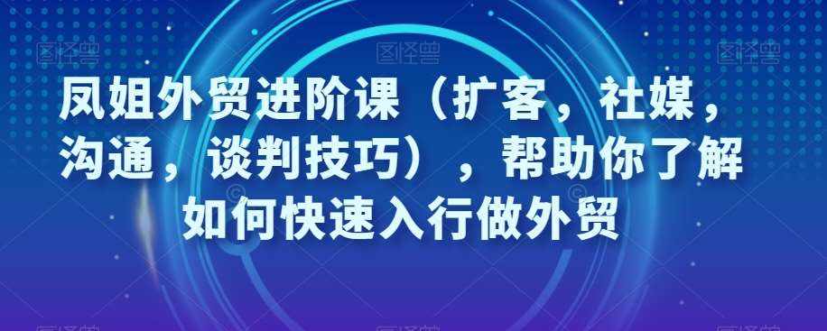 凤姐外贸进阶课(扩客,社媒,沟通,谈判技巧),帮助你了解如何快速入行做外贸-泰戈创艺资源库