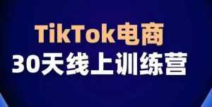 TikTok电商带货30天线上课，不可错过的全球流量洼地！-泰戈创艺资源库