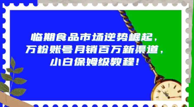 临期食品市场逆势崛起，万粉账号月销百万新渠道，小白保姆级教程【揭秘】-泰戈创艺资源库