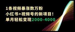 1条视频暴涨数万粉–小红书+视频号的新项目!单月轻松变现2000-4000【揭秘】-泰戈创艺资源库