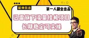 迅雷旗下流量挂机项目，长期稳定可实操【揭秘】-泰戈创艺资源库
