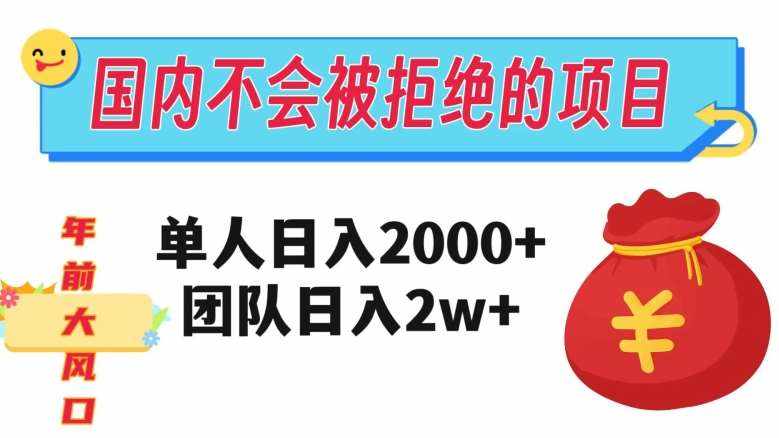 在国内不怕被拒绝的项目，单人日入2000，团队日入20000+【揭秘】-泰戈创艺资源库