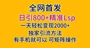 全网首发！日引800+精准老色批，一天变现2000+，独家引流方法，可矩阵操作【揭秘】-泰戈创艺资源库