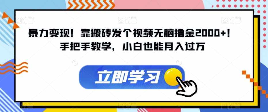 暴力变现!靠搬砖发个视频无脑撸金2000+!手把手教学,小白也能月入过万【揭秘】-泰戈创艺资源库