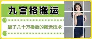 最新九宫格搬运,十秒一个作品,破了几十万播放的搬运技术【揭秘】-泰戈创艺资源库