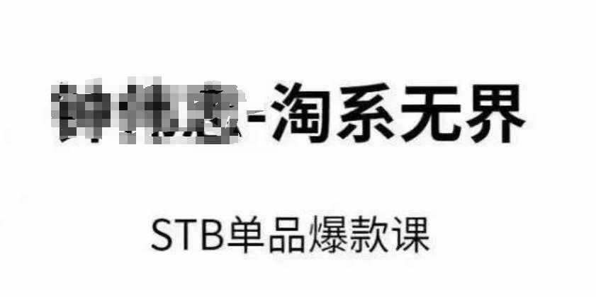 淘系无界STB单品爆款课（2024），付费带动免费的核心逻辑，万相台无界关键词推广/精准人群的核心-泰戈创艺资源库