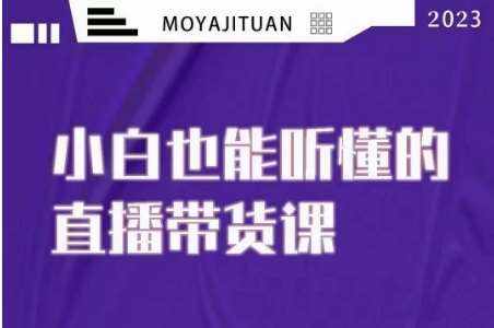 大威本威·能听懂的直播带货课，小白也能听懂，20节完整-泰戈创艺资源库