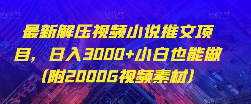 最新解压视频小说推文项目，日入3000+小白也能做（附2000G视频素材）【揭秘】-泰戈创艺资源库