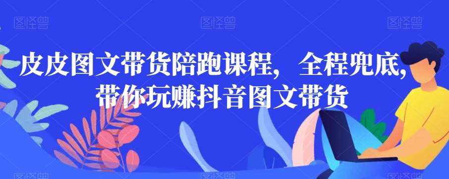 皮皮图文带货陪跑课程，全程兜底，带你玩赚抖音图文带货-泰戈创艺资源库