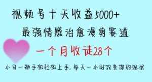 十天收益5000+，多平台捞金，视频号情感治愈漫剪，一个月收徒28个，小白一部手机轻松上手【揭秘】-泰戈创艺资源库