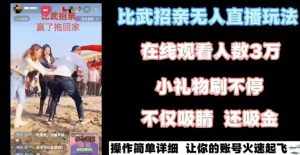 最近很火的无人直播“比武招亲”的一个玩法项目简单【揭秘】-泰戈创艺资源库