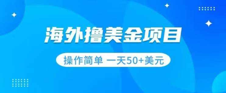 撸美金项目无门槛操作简单小白一天50+美刀-泰戈创艺资源库