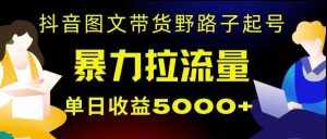 抖音图文带货暴力起号，单日收益5000+，野路子玩法，简单易上手，一部手机即可【揭秘】-泰戈创艺资源库