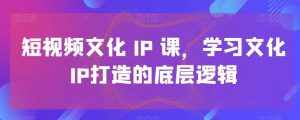 短视频文化IP课,学习文化IP打造的底层逻辑-泰戈创艺资源库