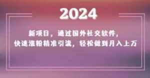 2024新项目,通过国外社交软件,快速涨粉精准引流,轻松做到月入上万【揭秘】-泰戈创艺资源库