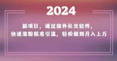 2024新项目，通过国外社交软件，快速涨粉精准引流，轻松做到月入上万【揭秘】-泰戈创艺资源库