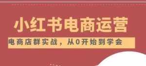 小红书店铺运营从小白到大神2.0,从入门到精通-泰戈创艺资源库
