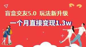 盲盒交友5.0，玩法全新升级，一个月直接变现1.3W，新手小白轻松上手【揭秘】-泰戈创艺资源库