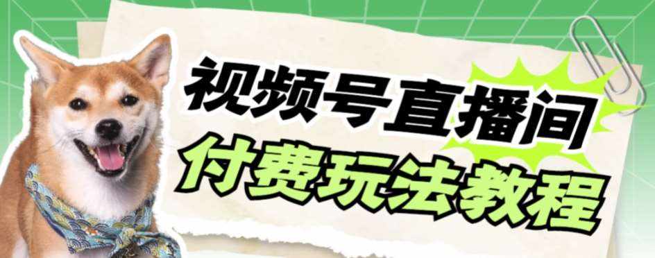 视频号美女付费无人直播，轻松日入500+【详细玩法教程】-泰戈创艺资源库