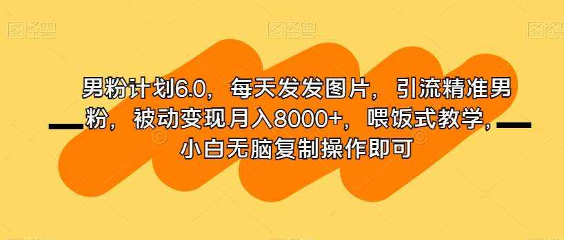 男粉计划6.0，每天发发图片，引流精准男粉，被动变现月入8000+，喂饭式教学，小白无脑复制操作即可-泰戈创艺资源库