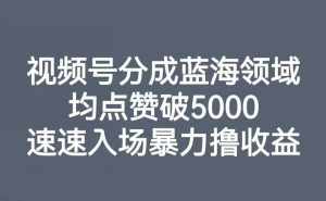 视频号分成蓝海领域,均点赞破5000,速速入场暴力撸收益-泰戈创艺资源库