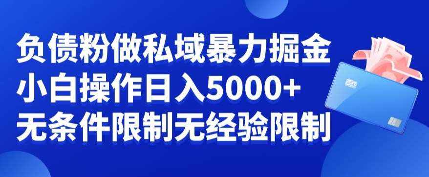 负债粉私域暴力掘金，小白操作入5000，无经验限制，无条件限制【揭秘】-泰戈创艺资源库