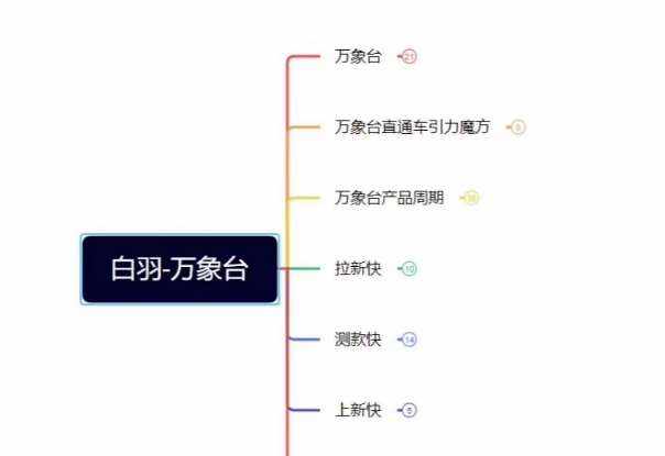 白羽·直引万搜索全篇，从0-1，多个类目实操经验总结付费-泰戈创艺资源库