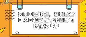 卖莆田篮球鞋，暴利掘金日入四位数新手小白都可以轻松上手【揭秘】-泰戈创艺资源库