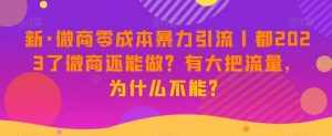 新·微商零成本暴力引流丨都2023了微商还能做？有大把流量，为什么不能？-泰戈创艺资源库