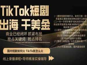 TikTok短剧出海干美金，商业已经闭环抓紧布局，抢占关键词抢占排名-泰戈创艺资源库