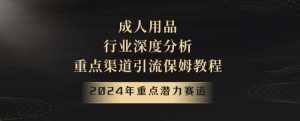 2024年重点潜力赛道,成人用品行业深度分析,重点渠道引流保姆教程【揭秘】-泰戈创艺资源库