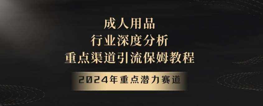 2024年重点潜力赛道，成人用品行业深度分析，重点渠道引流保姆教程【揭秘】-泰戈创艺资源库