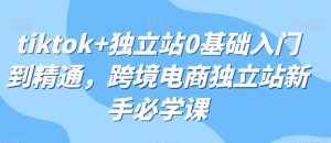 tiktok+独立站0基础入门到精通,跨境电商独立站新手必学课-泰戈创艺资源库