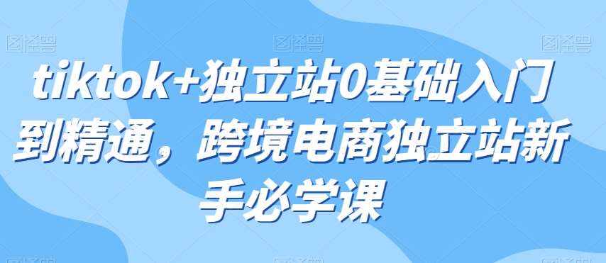 tiktok+独立站0基础入门到精通，跨境电商独立站新手必学课-泰戈创艺资源库