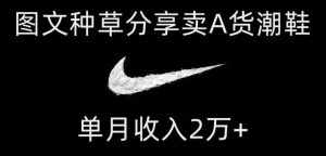 靠图文种草分享卖A货潮鞋，每天一小时，单月收入2万+【揭秘】-泰戈创艺资源库