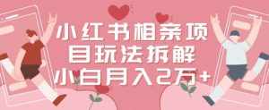 小红书相亲项目玩法拆解，有人通过这个副业项目做到了月收入2万多【揭秘】-泰戈创艺资源库