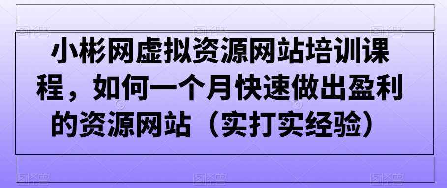 小彬网虚拟资源网站培训课程,如何一个月快速做出盈利的资源网站(实打实经验)-泰戈创艺资源库