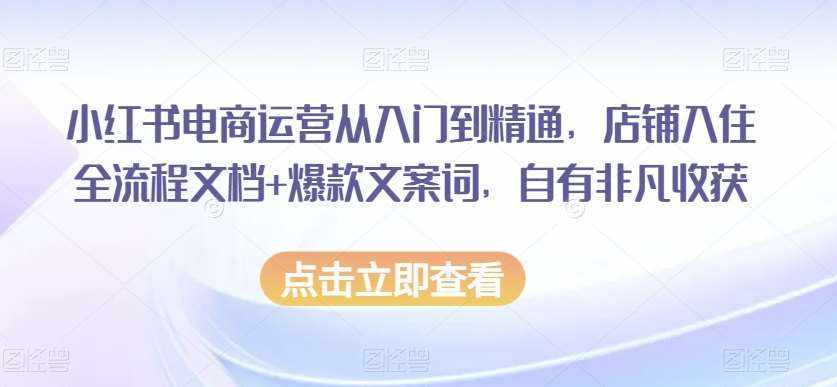小红书电商运营从入门到精通，店铺入住全流程文档+爆款文案词，自有非凡收获-泰戈创艺资源库