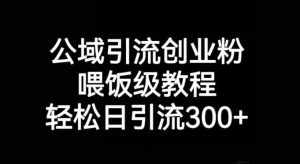 公域引流创业粉，喂饭级教程，轻松日引流300+【揭秘】-泰戈创艺资源库