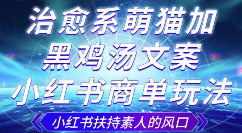 治愈系萌猫加+黑鸡汤文案，小红书商单玩法，3~10天涨到1000粉，一单200左右-泰戈创艺资源库