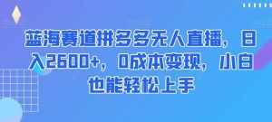 蓝海赛道拼多多无人直播,日入2600+,0成本变现,小白也能轻松上手【揭秘】-泰戈创艺资源库