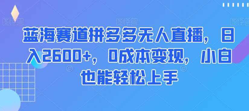 蓝海赛道拼多多无人直播，日入2600+，0成本变现，小白也能轻松上手【揭秘】-泰戈创艺资源库